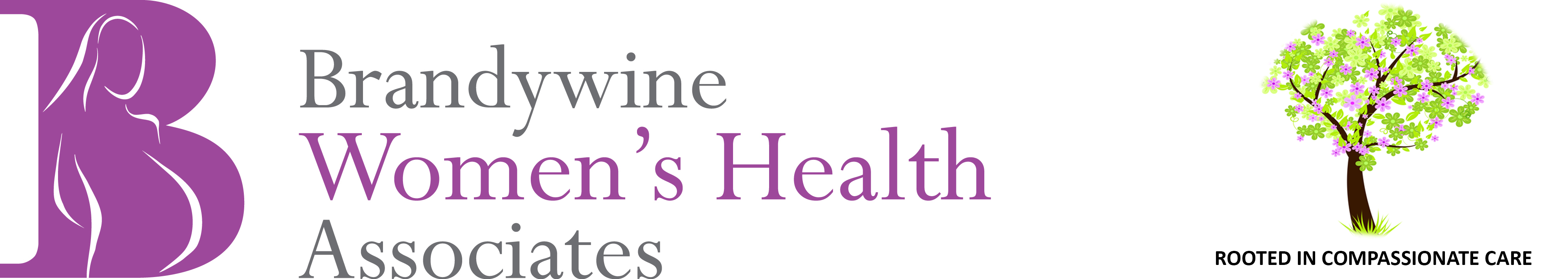 Brandywine Women's Health Associates